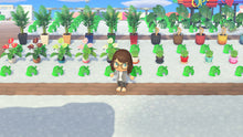 Load image into Gallery viewer, Nook's Treasure Island 30 Minutes