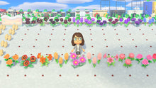 Load image into Gallery viewer, Nook's Treasure Island 60 Minutes